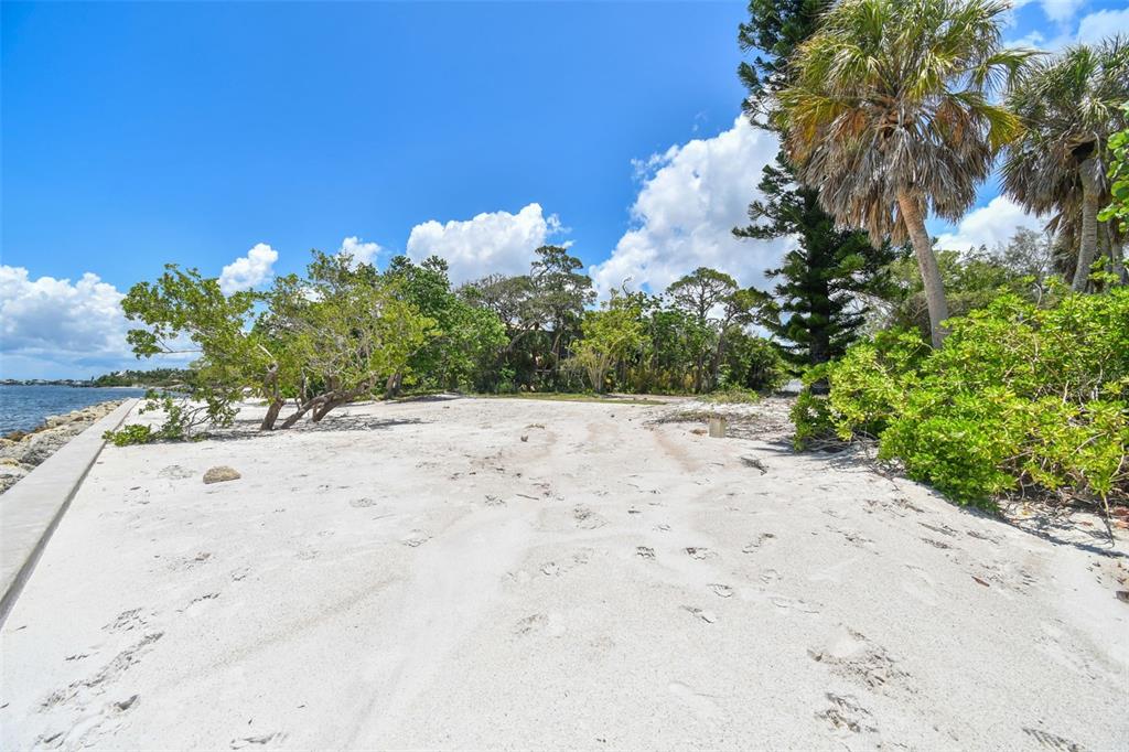 4105 North Shell Road Sarasota, FL 34242 - Photo 25 of 26 a view of a yard with a plant