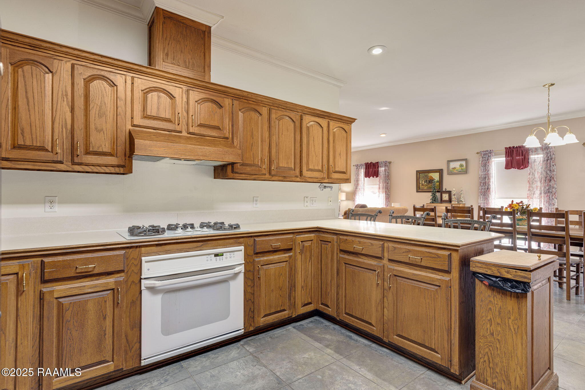 11612 Old Jeanerette Road, Unit LOT 1 Jeanerette, LA 70544 - Photo 7 of 19 14-web-or-mls-11612 Old Jeanerette Rd-14