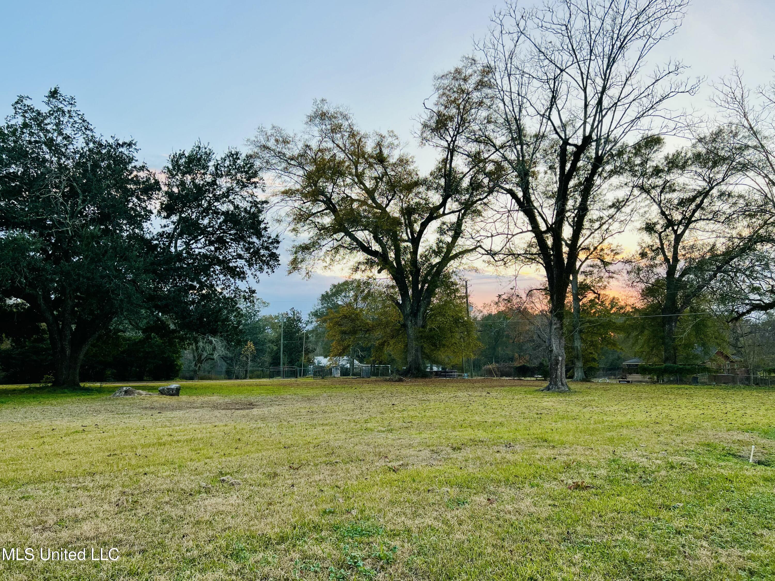 174 Victory Road Laurel, MS 39443 - Photo 3 of 34 Front Yard