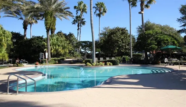 a view of a yard with palm trees
