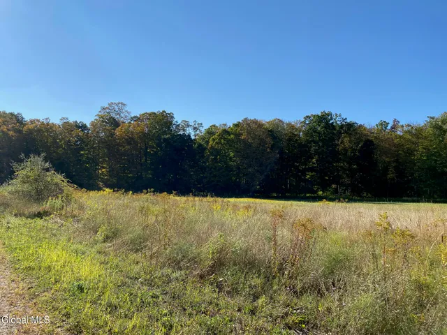 $1,200,000 | 290 Camden Valley Road, Salem, NY 12873