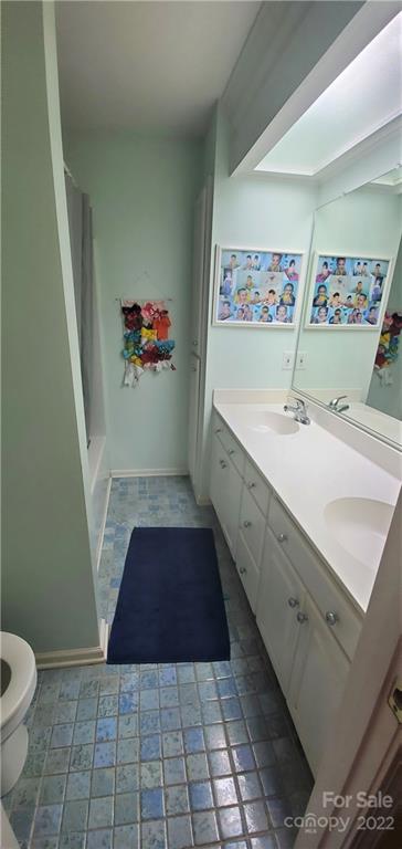 1820 Daisy Couch Road Heath Springs, SC 29058 - Photo 13 of 21 a bathroom with a sink a toilet and shower