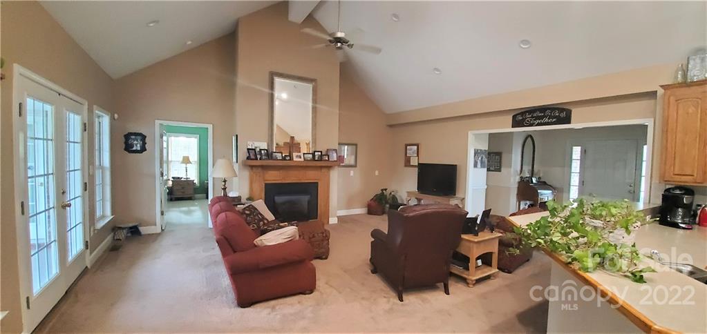 1820 Daisy Couch Road Heath Springs, SC 29058 - Photo 6 of 21 a living room with furniture potted plant and a fireplace