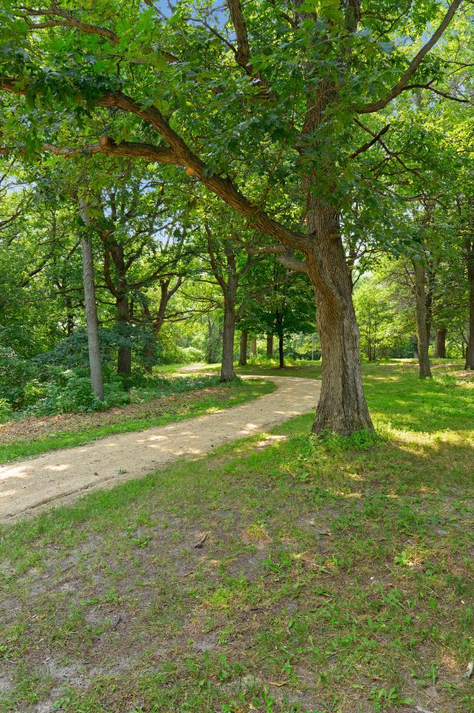 112 Keith Road Circle Pines, MN 55014 - Photo 27 of 31 Gallery Image 27