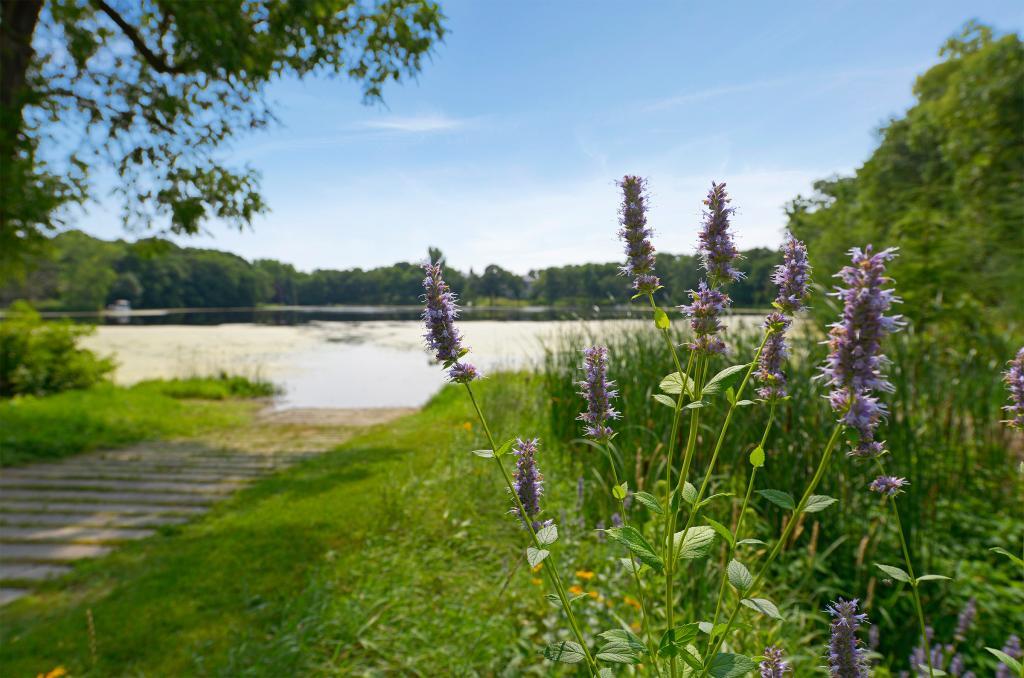 112 Keith Road Circle Pines, MN 55014 - Photo 29 of 31 Gallery Image 29