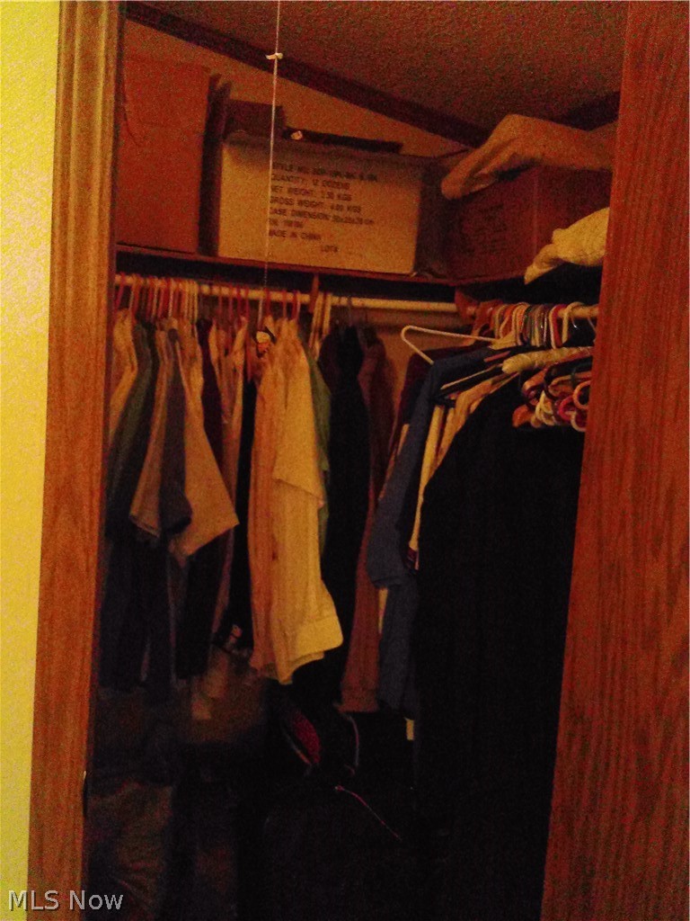 162 Coen Road Vermilion, OH 44089 - Photo 20 of 29 WALK IN CLOSET