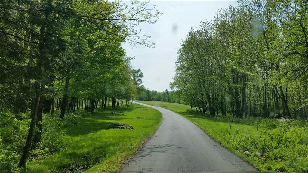 1203 Center Hill Road Weld, ME 04285 - Photo 5 of 35 Beautiful woodlands flank the...