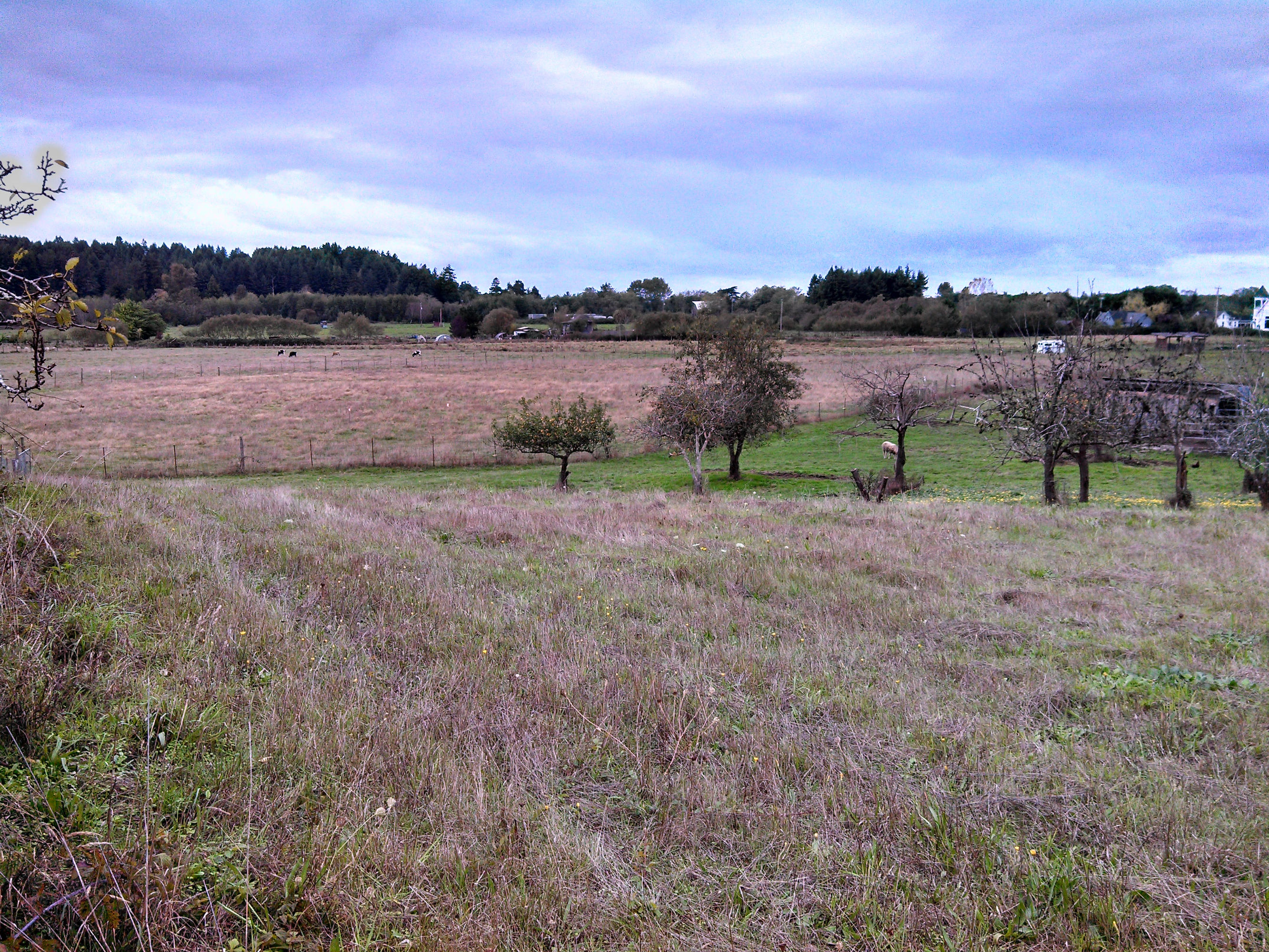 3 Jacoby Creek Road Bayside, CA 95524 - Photo 2 of 8 767