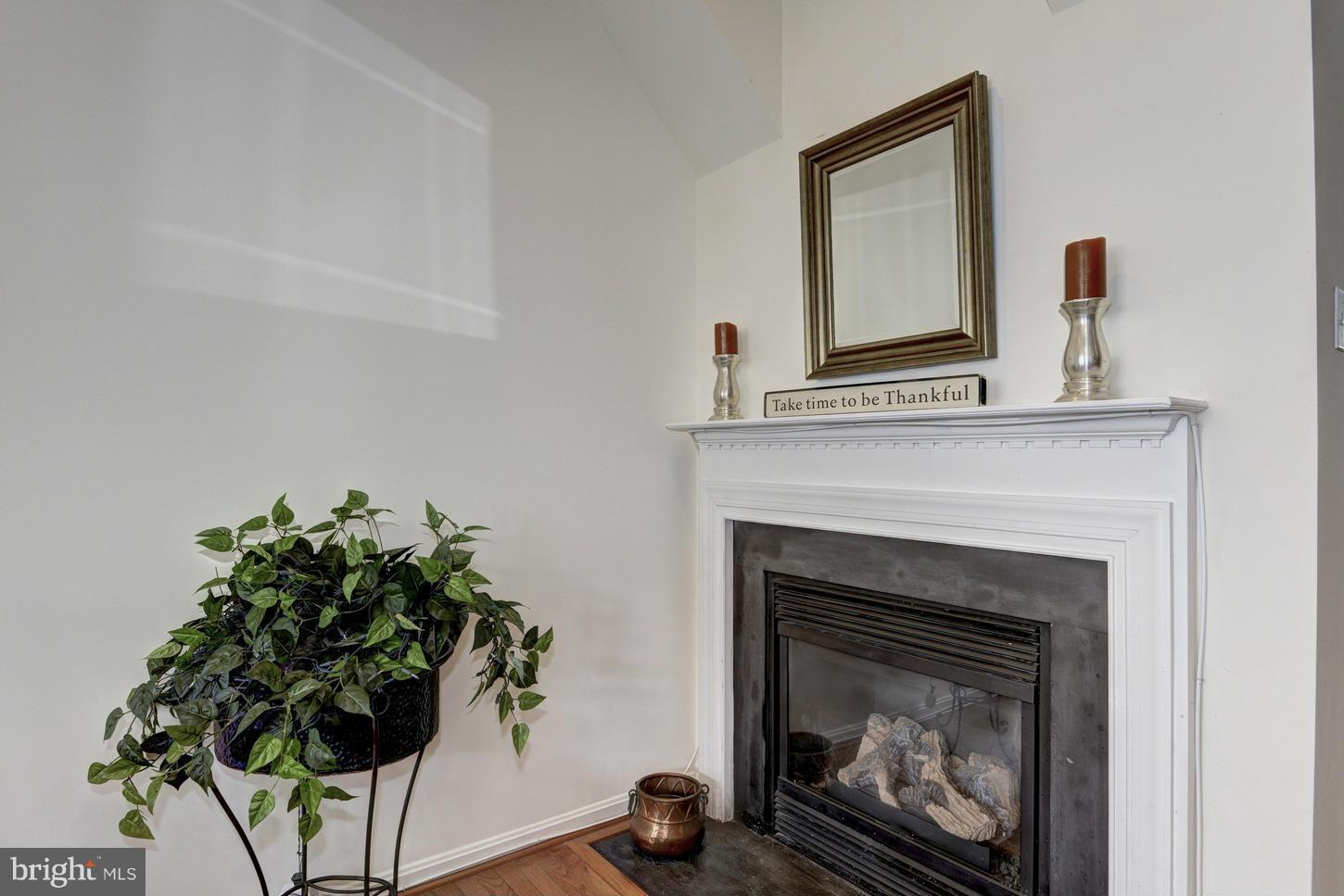4929 Chaste Tree Place Woodbridge, VA 22192 - Photo 22 of 29 Kitchen with fireplace