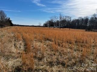 5900 Allen Black Road Stallings, NC 28104 - Photo 5 of 9 a view of lake with mountain in background