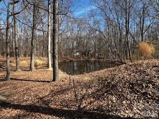 5900 Allen Black Road Stallings, NC 28104 - Photo 7 of 9 a view of a yard with wooden fence