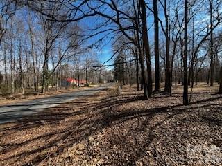5900 Allen Black Road Stallings, NC 28104 - Photo 9 of 9 a view of road with trees