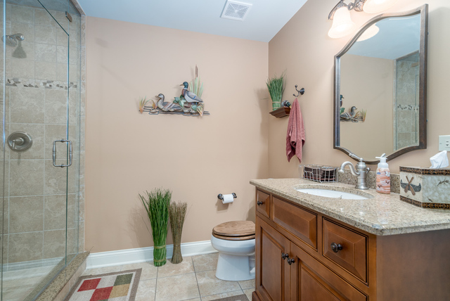 12550 Surrey Court Mokena, IL 60448 - Photo 31 of 72