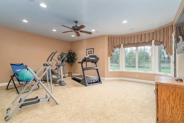 12550 Surrey Court Mokena, IL 60448 - Photo 32 of 72