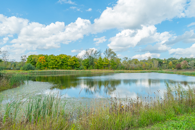 12550 Surrey Court Mokena, IL 60448 - Photo 46 of 72