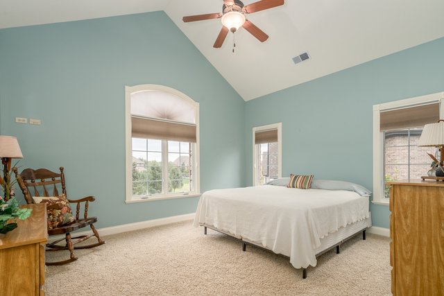 12550 Surrey Court Mokena, IL 60448 - Photo 49 of 72