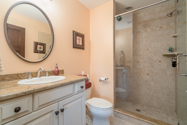 12550 Surrey Court Mokena, IL 60448 - Photo 50 of 72