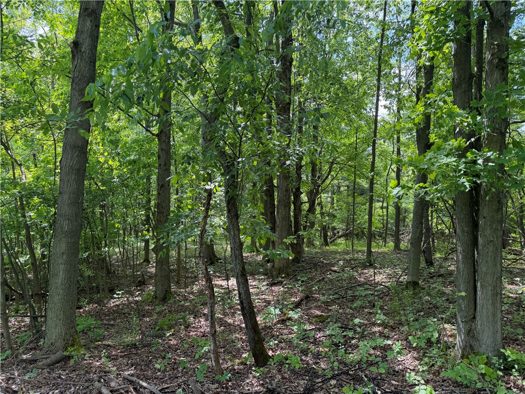Vl Reed Road Dansville, NY 14437 - Photo 7 of 29