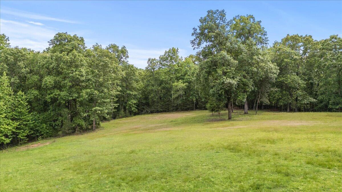 6218 Hidden Hill Road Harrison, TN 37341 - Photo 86 of 120 086-DJI_20260508155113_0146_D
