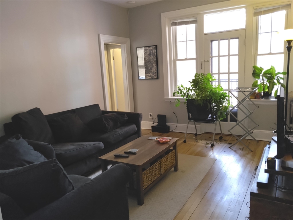 25 Mt Hood Road, Unit 12 Boston, MA 02135 - Photo 2 of 8 a living room with furniture and a potted plant