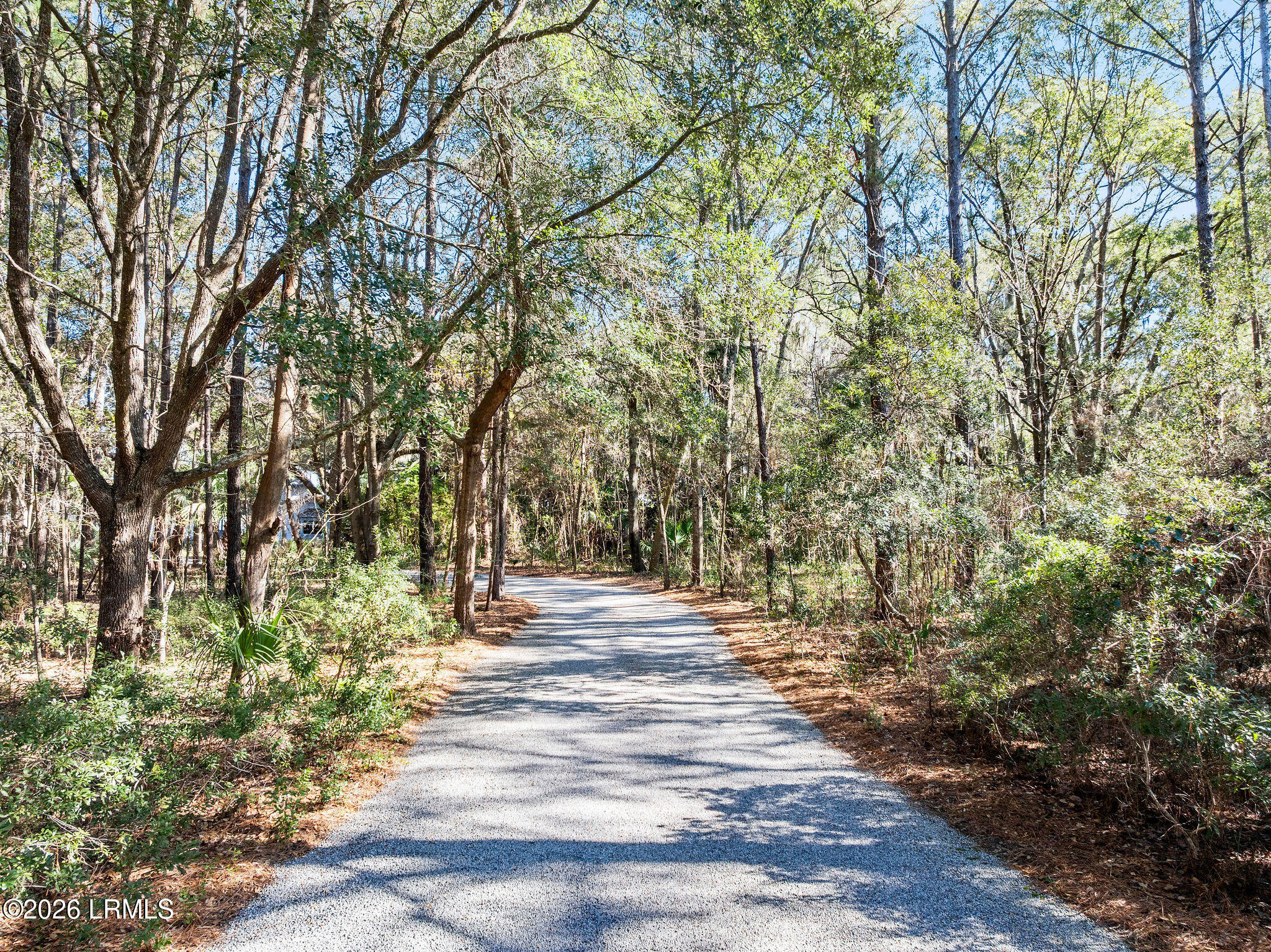 248 Spring Island Drive Okatie, SC 29909 - Photo 76 of 86 248SpringIslandII--97