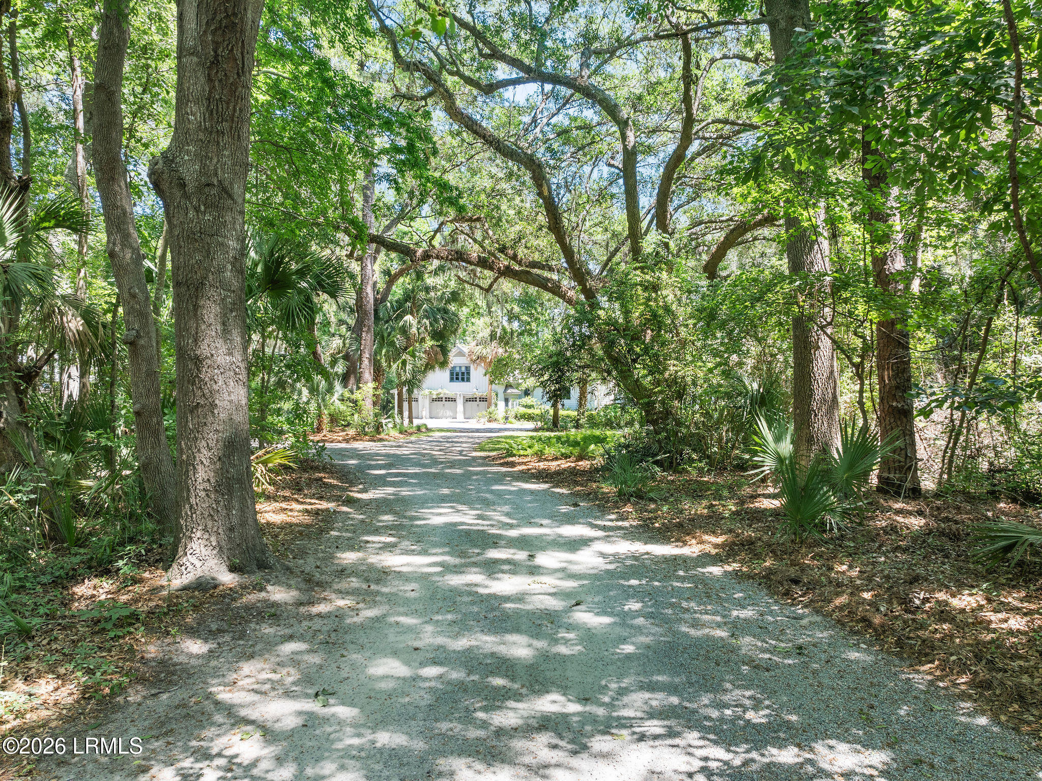 248 Spring Island Drive Okatie, SC 29909 - Photo 78 of 88 248SpringIsland-1