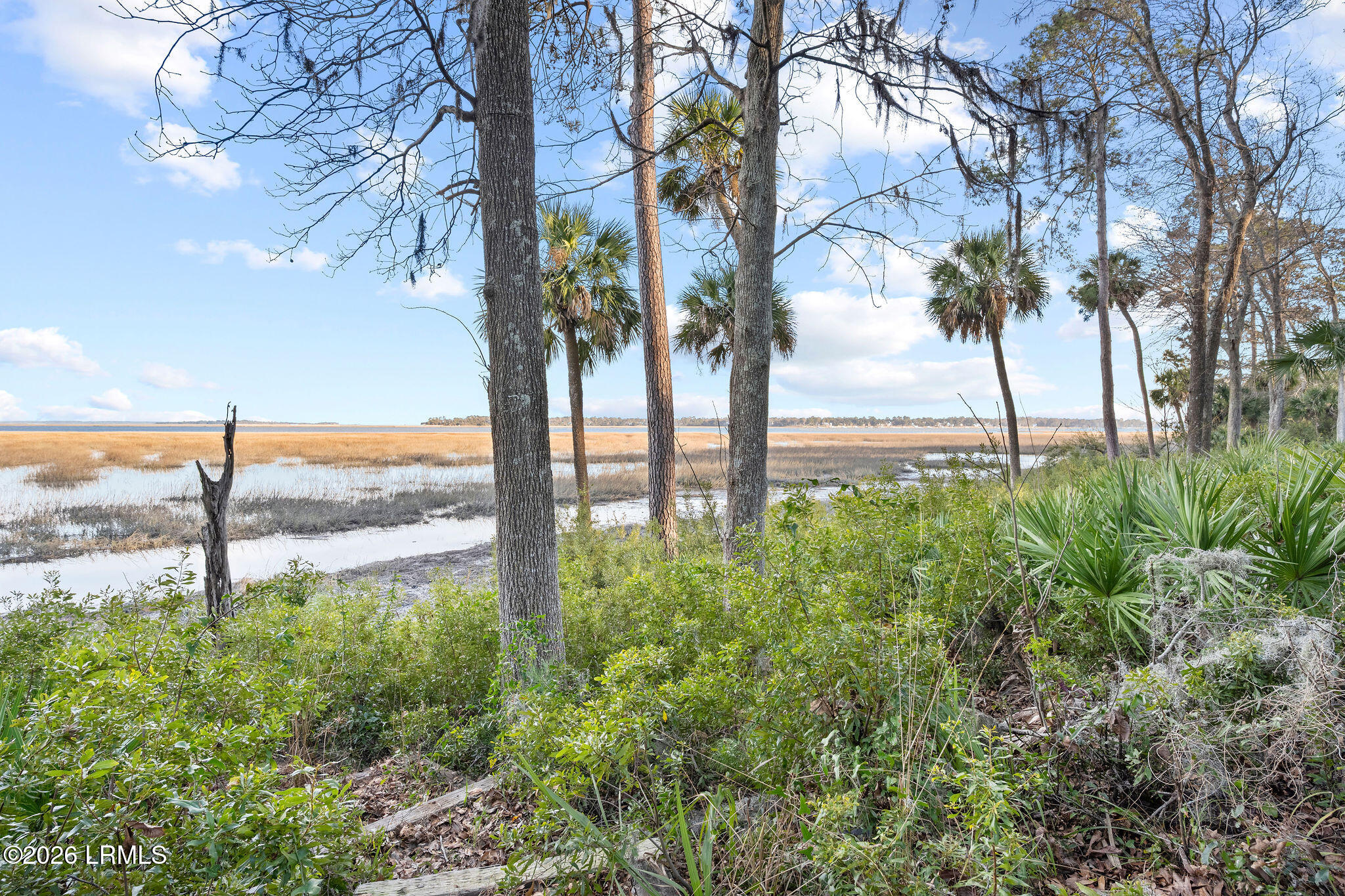 248 Spring Island Drive Okatie, SC 29909 - Photo 86 of 86 248SpringIsland-38