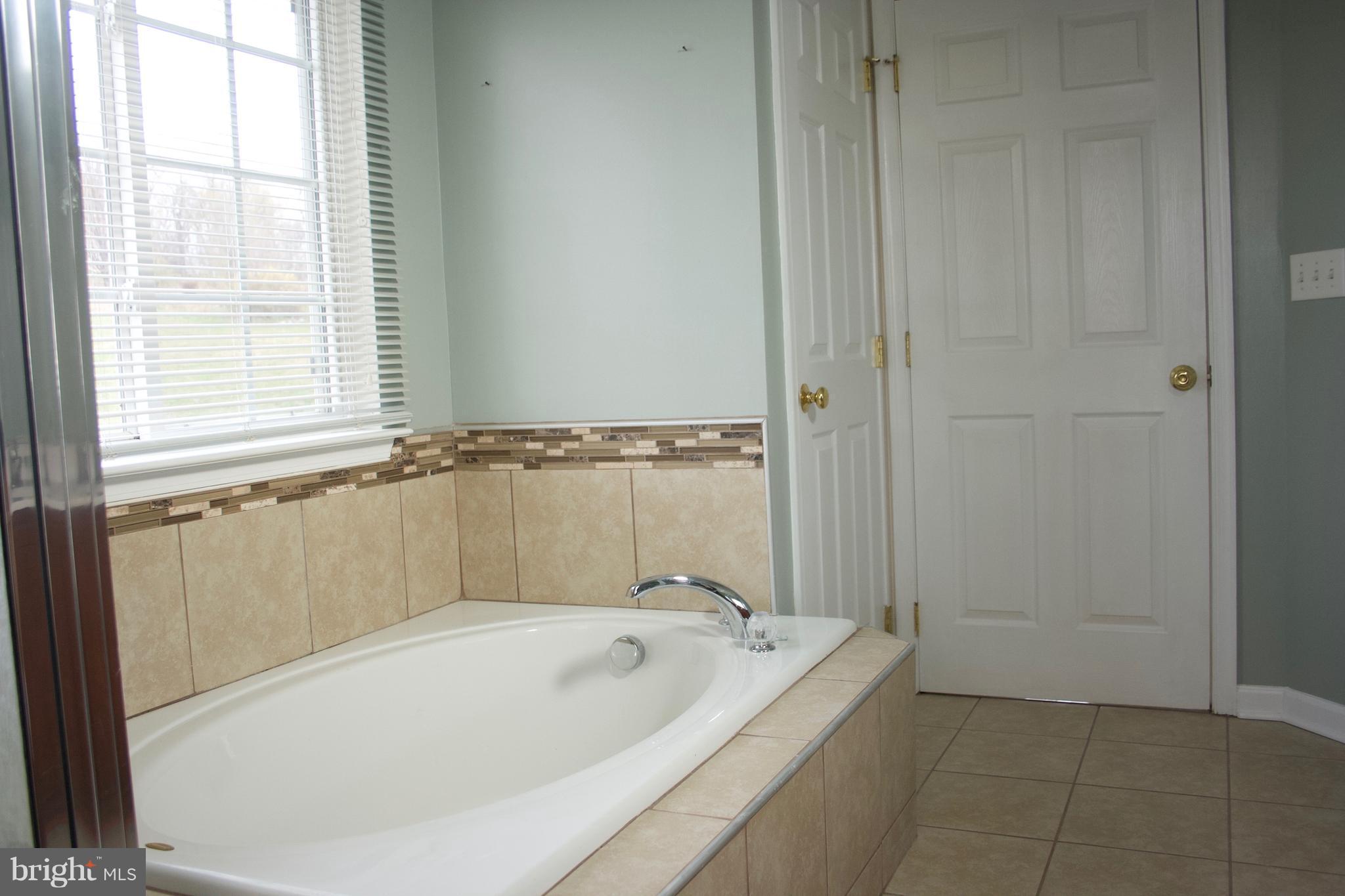 62 Boise Road Inwood, WV 25428 - Photo 14 of 26 Bath (Master) - soaking tub w/ tile backsplash
