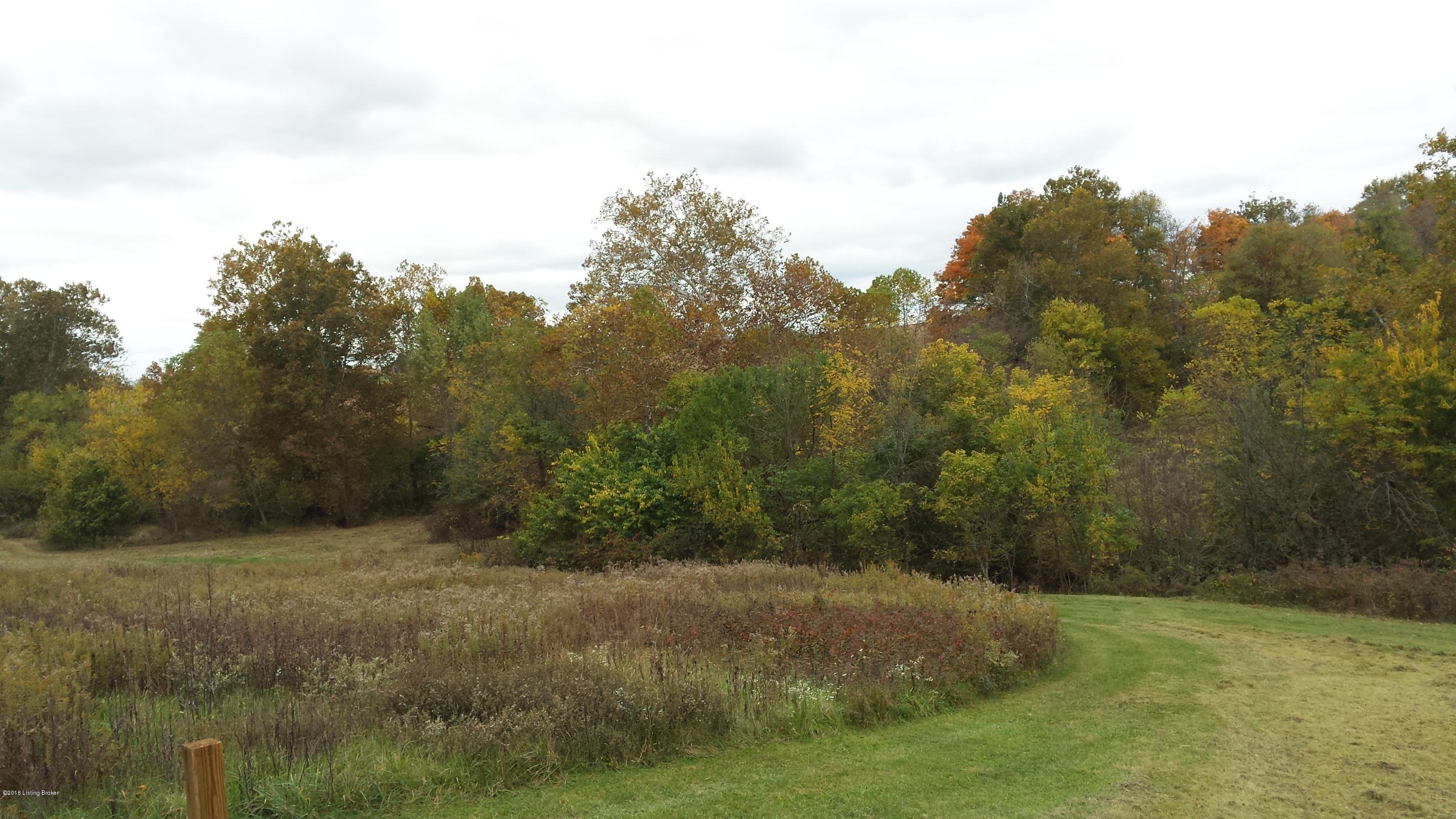 1167 Harley-Thompson Road Bagdad, KY 40003 - Photo 7 of 21 20141018_155919