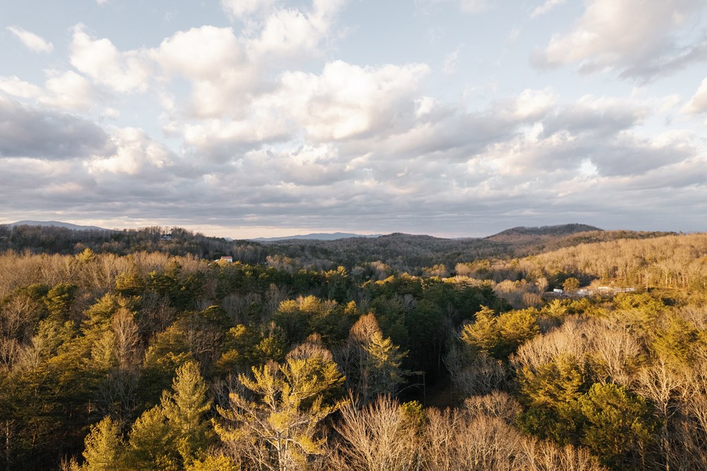 31 Highland Hammock Drive Blue Ridge, GA 30513 - Photo 3 of 67 a view of city and mountain