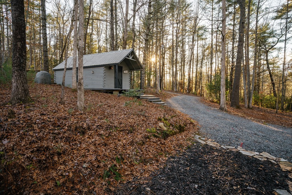 31 Highland Hammock Drive Blue Ridge, GA 30513 - Photo 62 of 67 a view of a house with a yard and tree s