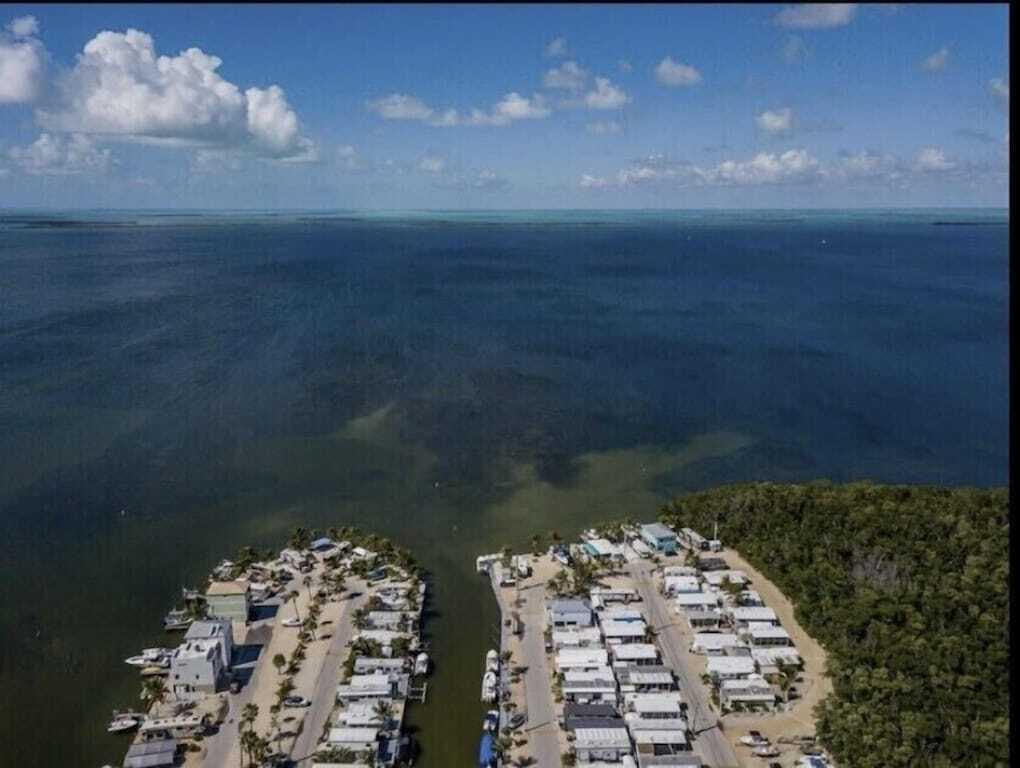 325 Calusa Street, Unit 499 Key Largo, FL 33037 - Photo 18 of 21 91f8a98e.f10