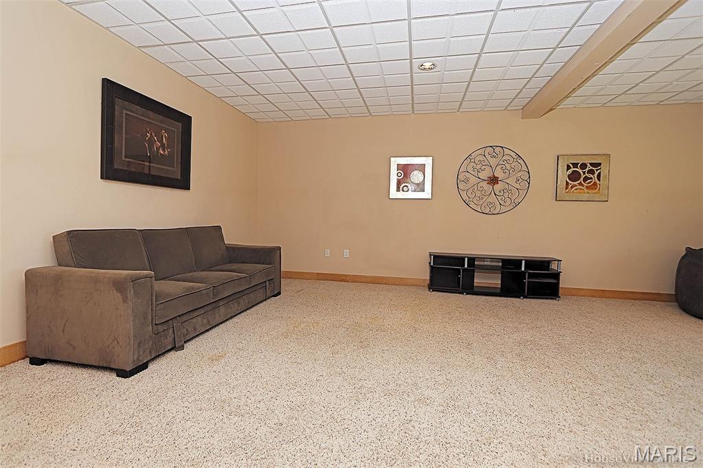 147 Huddle Up Lane Jackson, MO 63755 - Photo 61 of 75