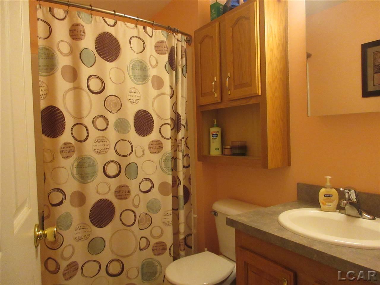 5995 Pawson Road Tipton, MI 49287 - Photo 21 of 53 31392767-21.JPG
