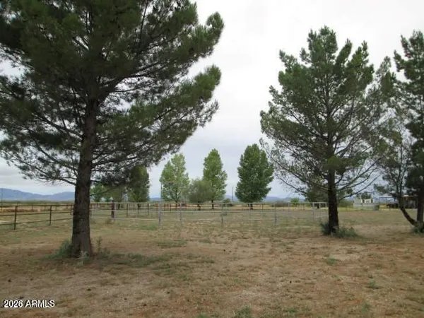 a view of a yard