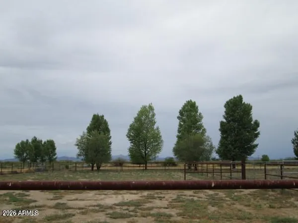 a view of a yard