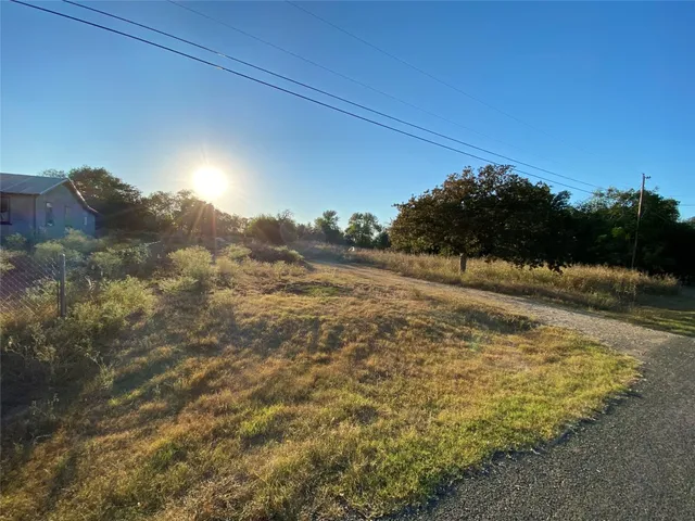 a view of a yard with a tree