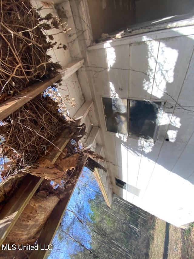 2329 Ford James Road Lucedale, MS 39452 - Photo 4 of 19 thumbnail (6)
