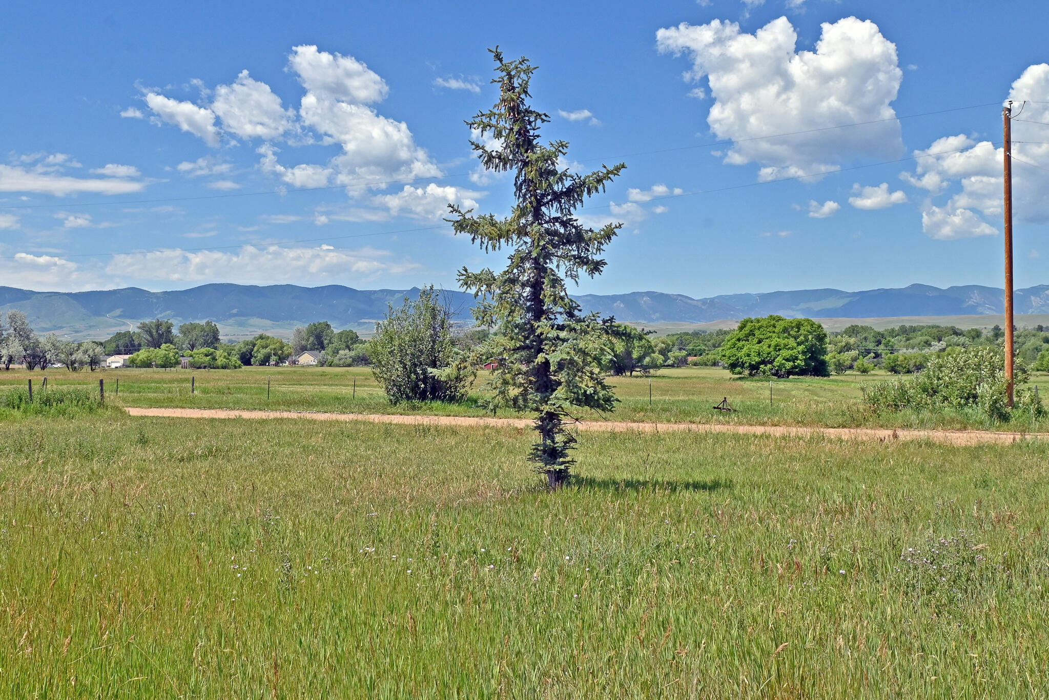 17 Cox Valley Road Sheridan, WY 82801 - Photo 6 of 12 CDW_9576-Real Estate-2