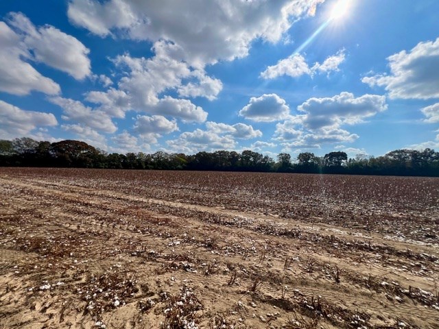 Undisclosed Address Headland, AL 36345 - Photo 28 of 36
