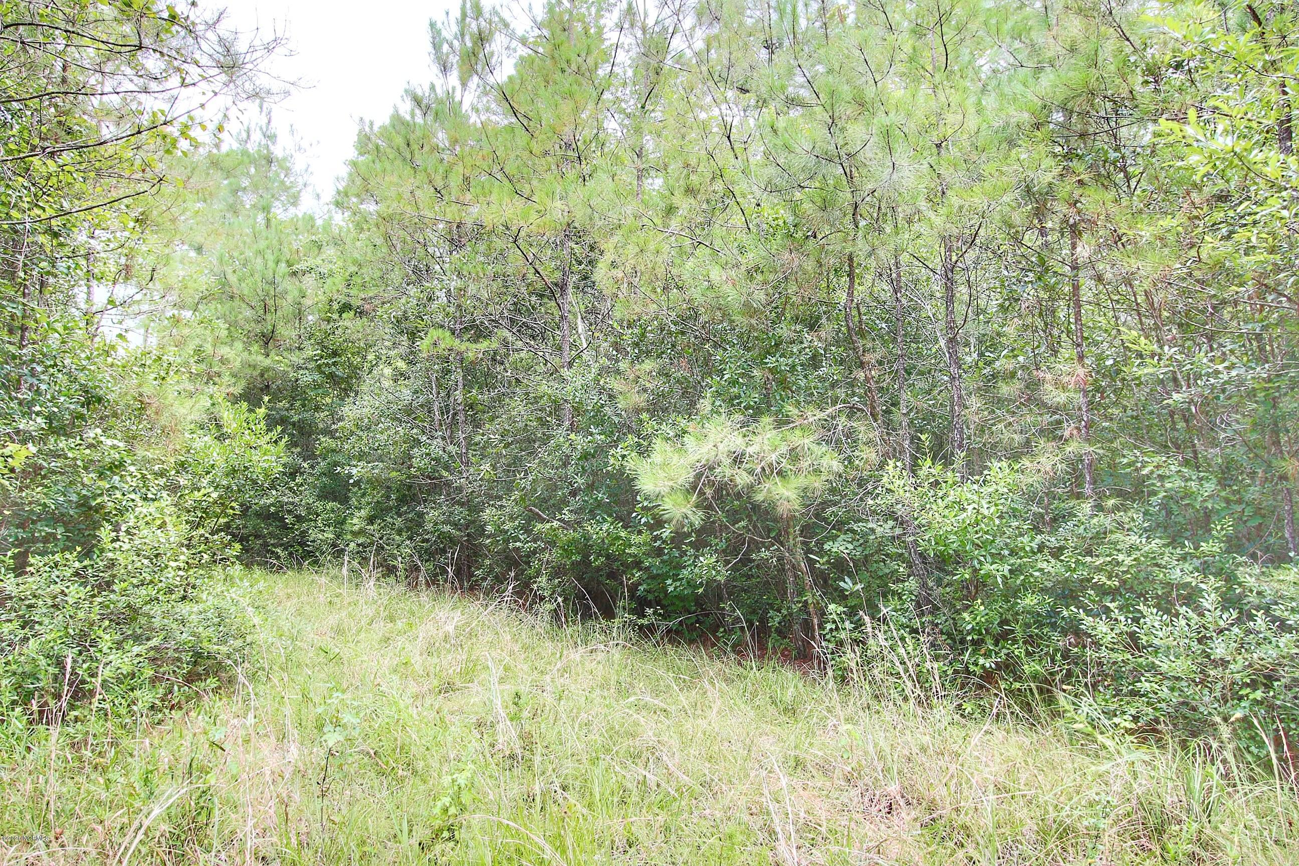 3199 Exum Road Northwest Ash, NC 28420 - Photo 60 of 62 3199 Exum Road NW Ash NC