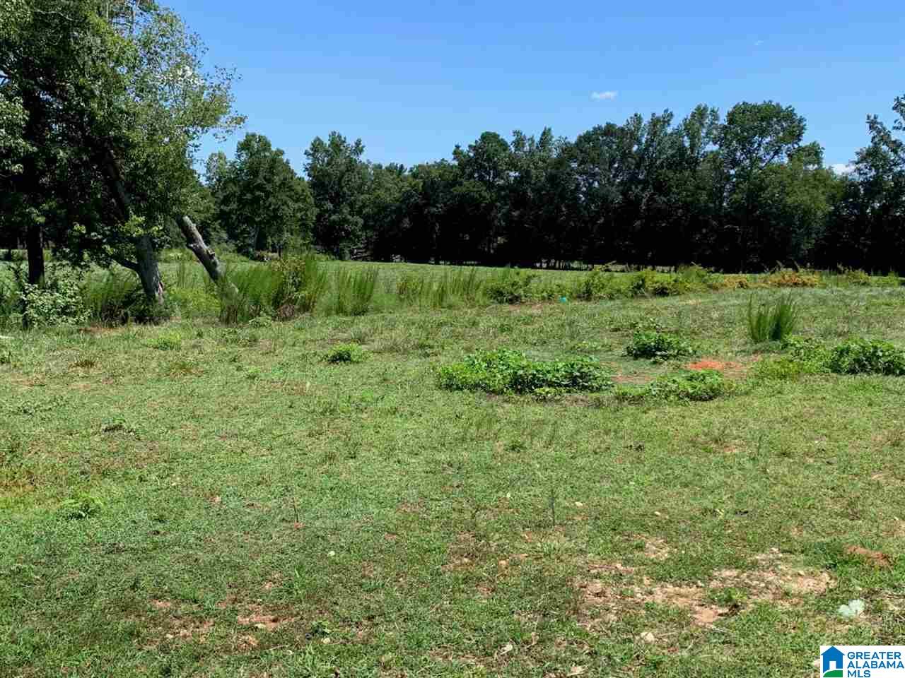 470 Mcvey Road Lineville, AL 36266 - Photo 24 of 26