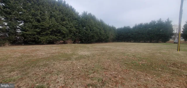 a view of basketball court