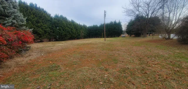a view of a field with trees in the background