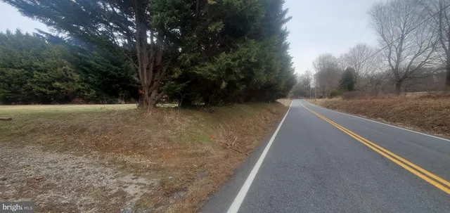 a view of a backyard with large trees