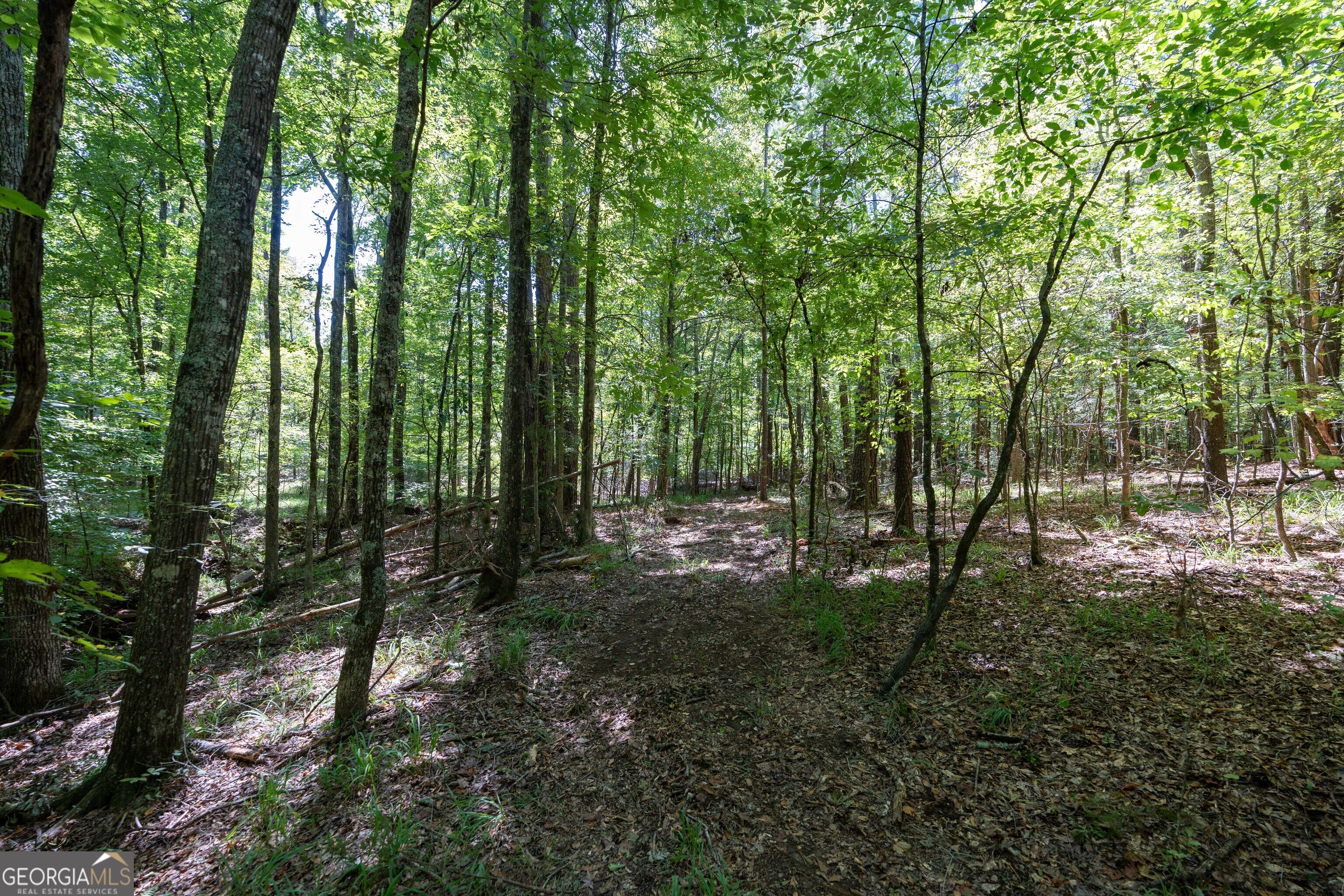 1419 Bobby Brown State Park Road Elberton, GA 30635 - Photo 54 of 90 Gallery Image 54