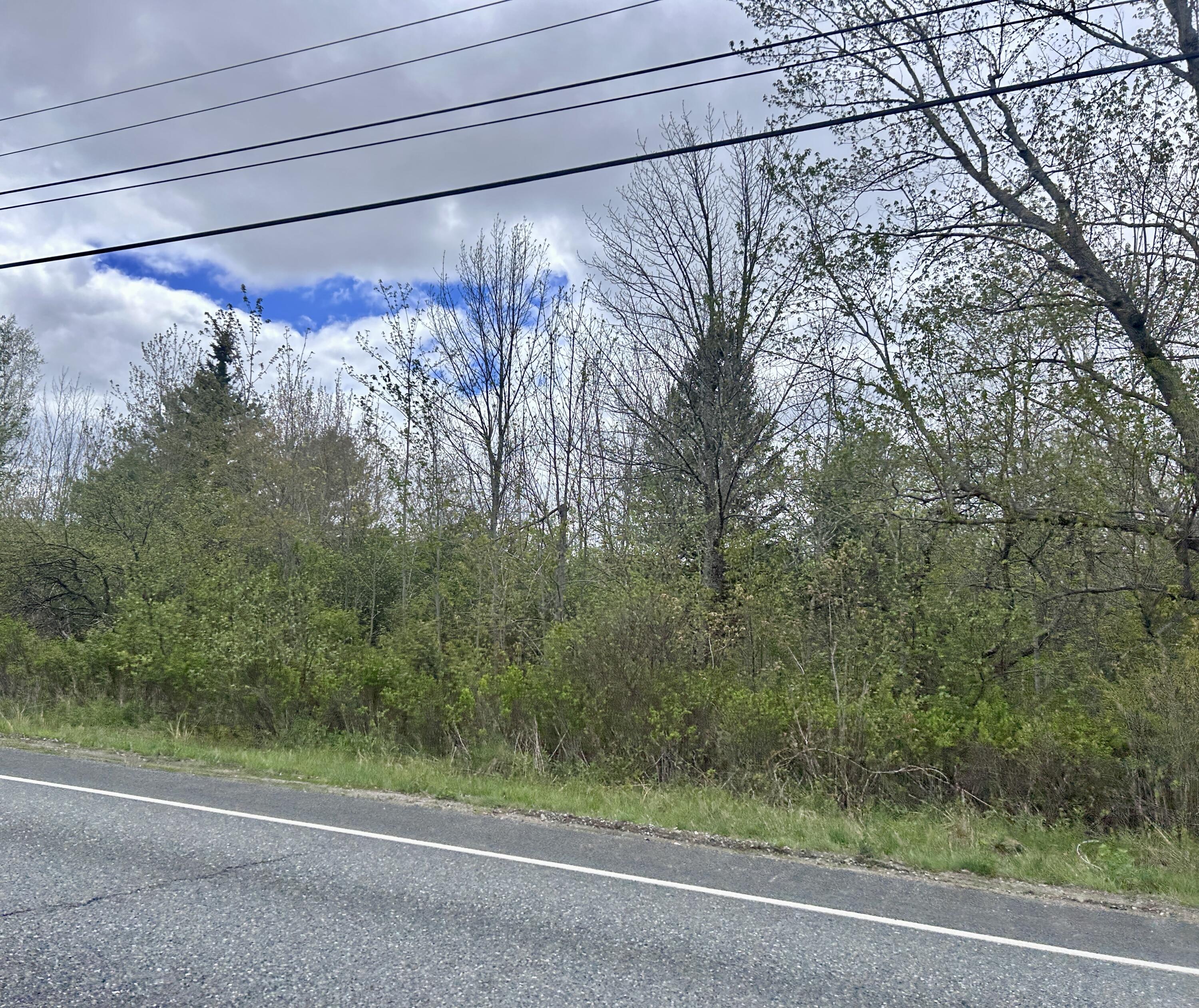 Lot 5 Bar Harbor Road Trenton, ME 04605 - Photo 4 of 6 Lot 5 Bar Harbor Road