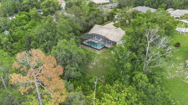 a picture of a tree in a garden