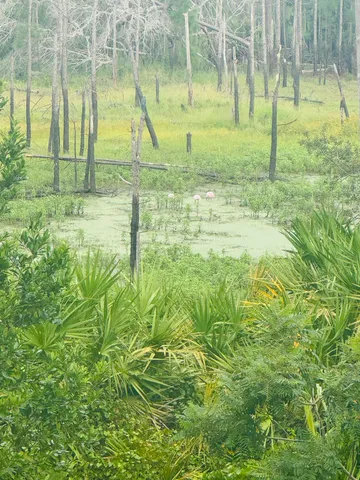 $3,100 | 2120 Lakebreeze Way, Deltona, FL 32738