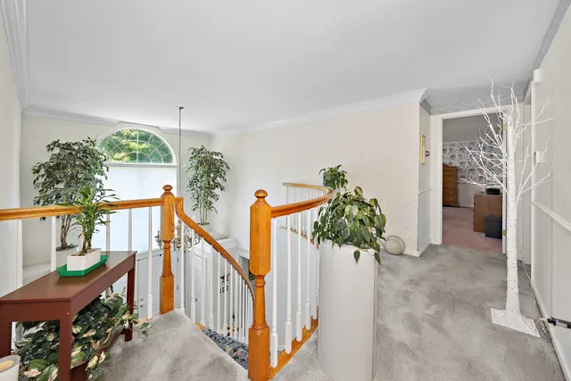 a view of an entryway with a potted plant